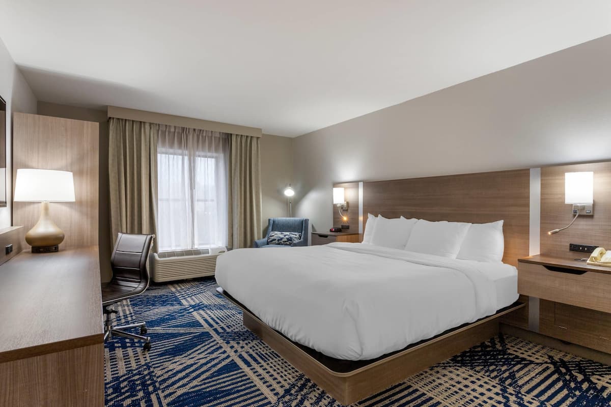 Standard Room, 1 King Bed, Non Smoking | In-room safe, iron/ironing board, free WiFi, bed sheets