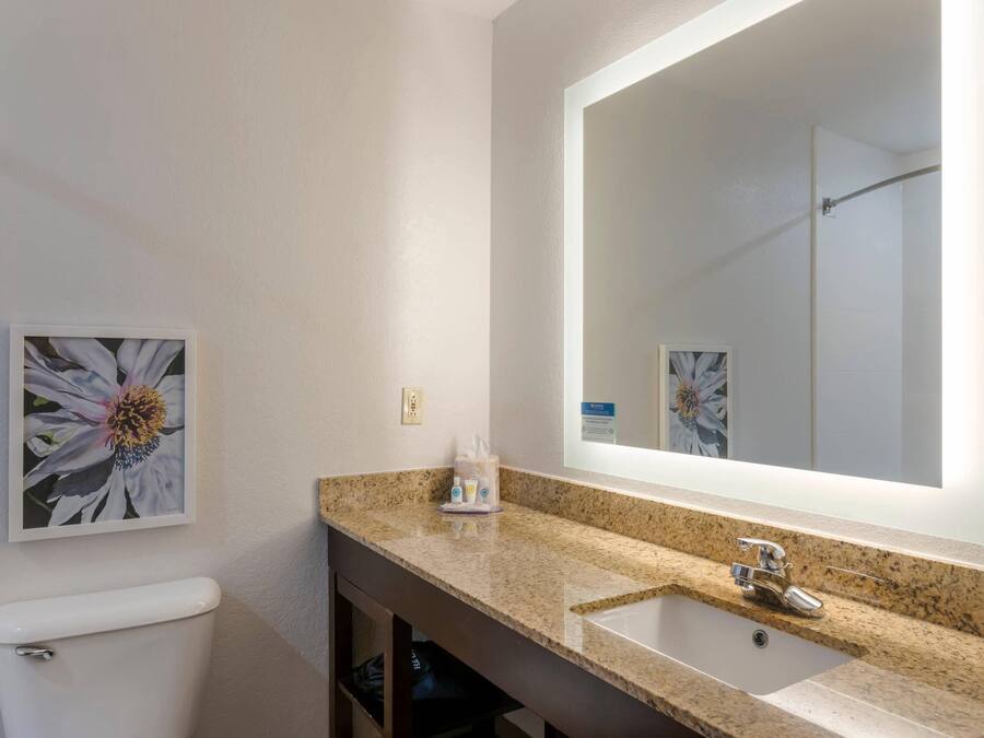 A bathroom with a toilet, sink, and mirror.