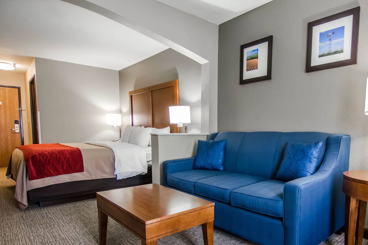 suite, non smoking | living area