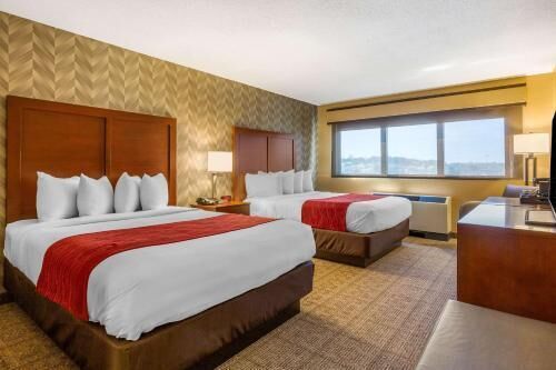 Blackout curtains, soundproofing, iron/ironing board