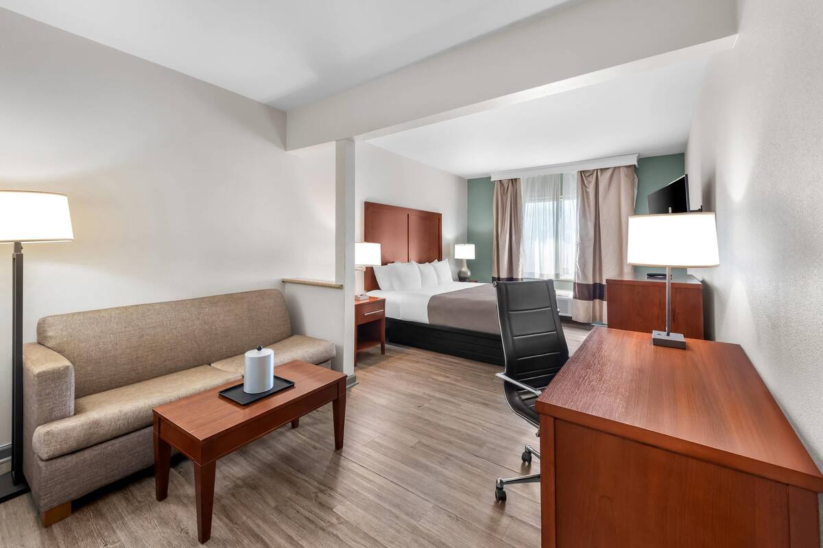 Quarto de hotel com cama, sofá, escrivaninha, cadeira e mesa de cabeceira.