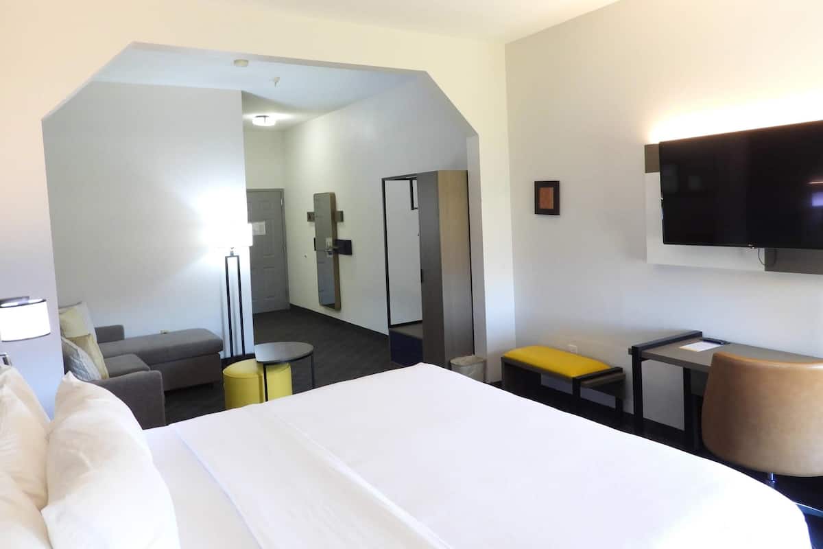 Suite, 1 King Bed with Sofa bed, Non Smoking