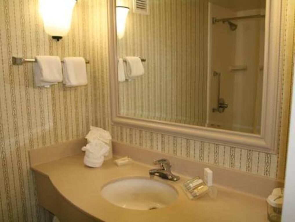 Bathroom | Combined shower/tub, free toiletries, hair dryer, towels
