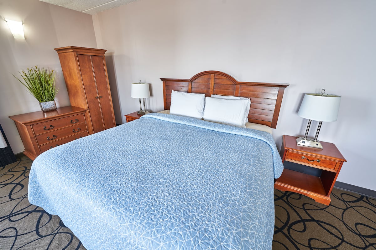 A hotel room with a large bed, wooden headboard, two bedside tables with lamps, a wooden wardrobe, and a potted plant.