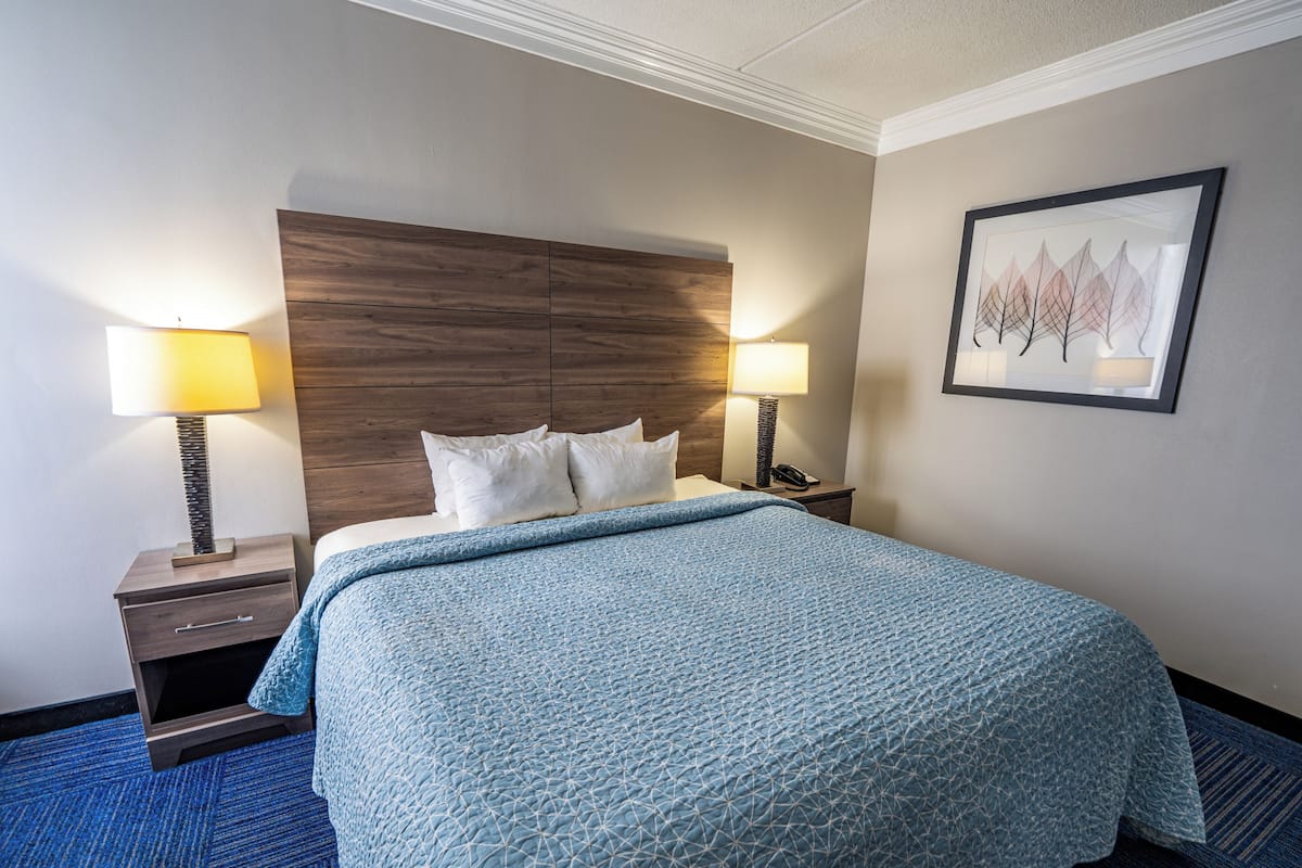 A hotel room with a bed, two bedside tables with lamps, a framed picture on the wall, and a blue carpet.