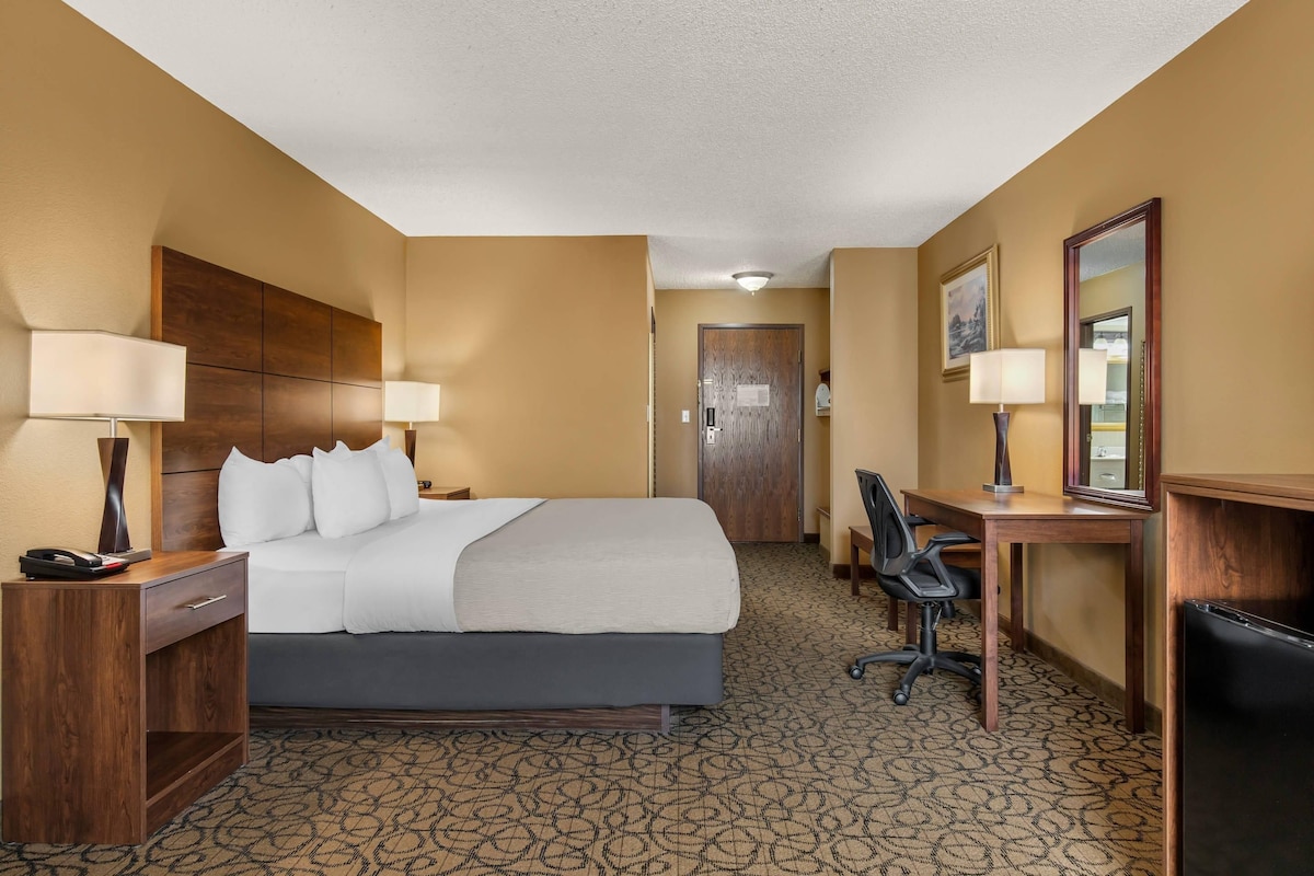 Standard Room, 1 King Bed, Non Smoking | Pillowtop beds, desk, laptop workspace, blackout drapes