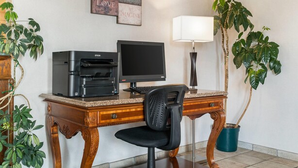 A wooden desk with a printer, monitor, and chair, a lamp, and two potted plants.