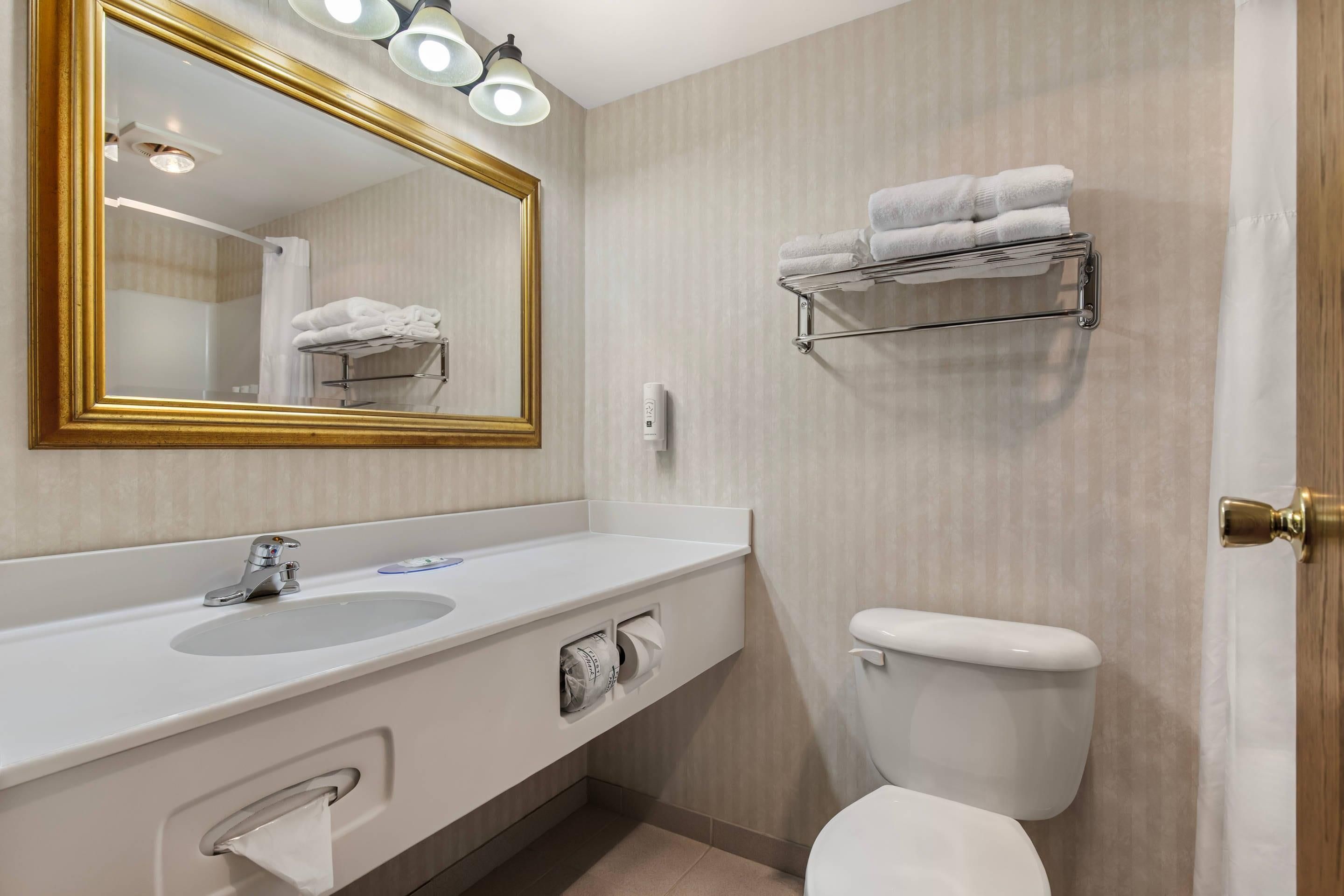 Een badkamer met een grote spiegel, een wastafel, een toilet en een handdoekhouder.