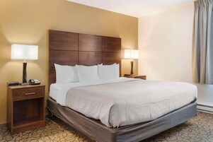 Habitación de hotel con una cama grande, dos mesitas de noche con lámparas, un cabecero de madera y una alfombra estampada.
