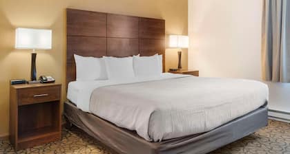 Quality Inn & Suites Manistique