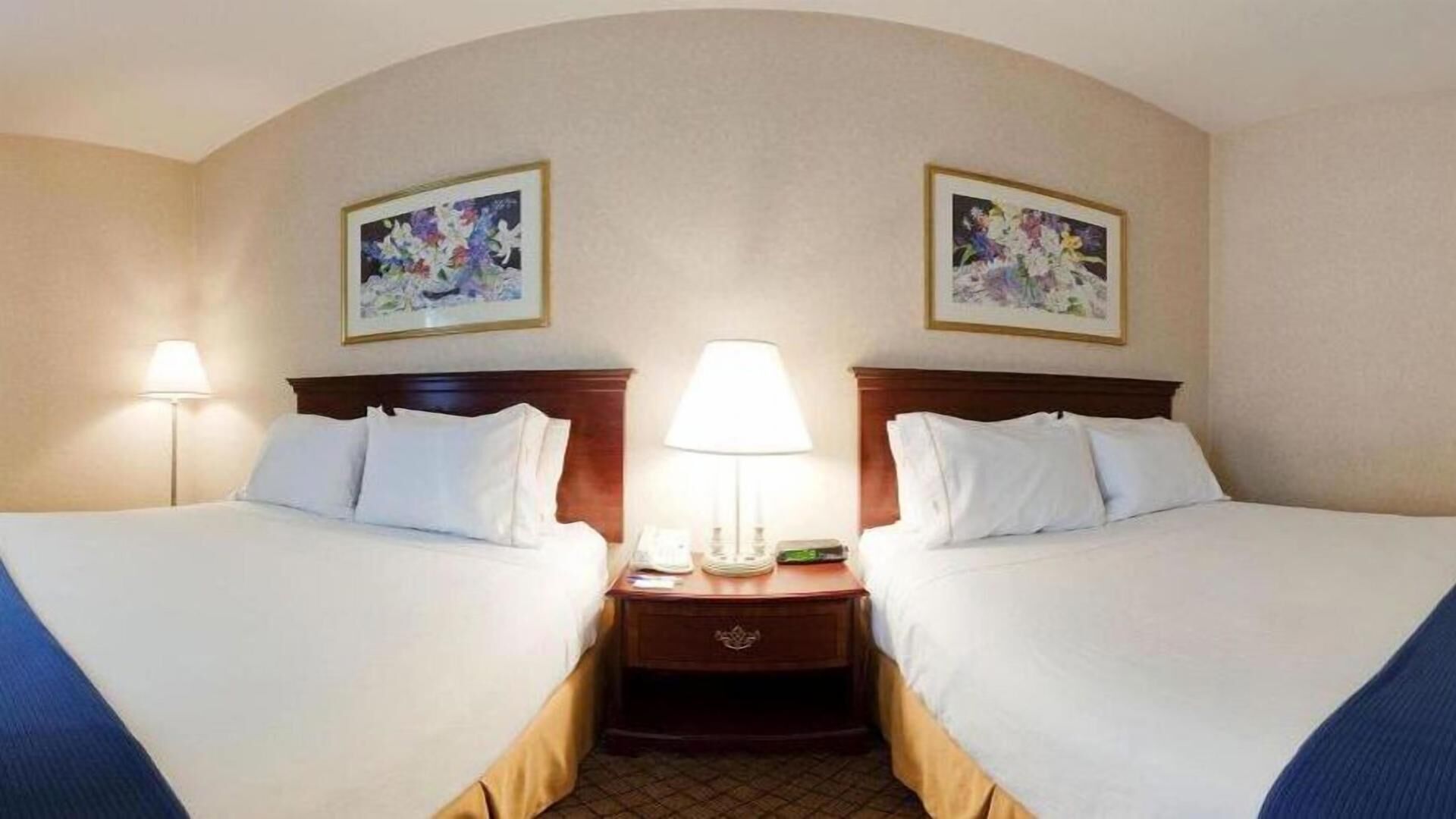 Premium bedding, down comforters, pillowtop beds, in-room safe