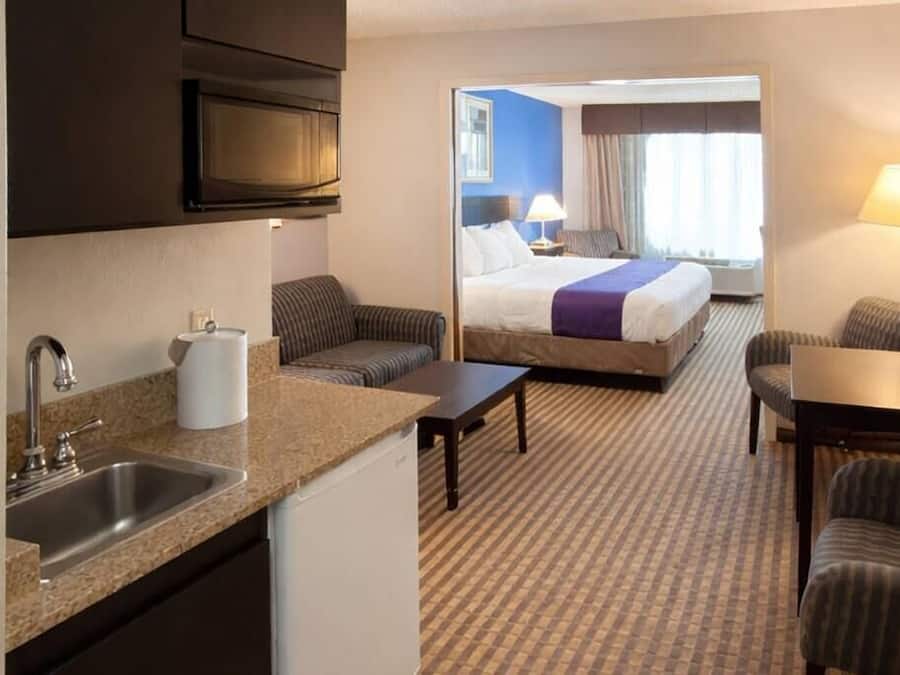 Suite, 1 King Bed with Sofa bed, Non Smoking | Down duvets, desk, laptop workspace, blackout curtains