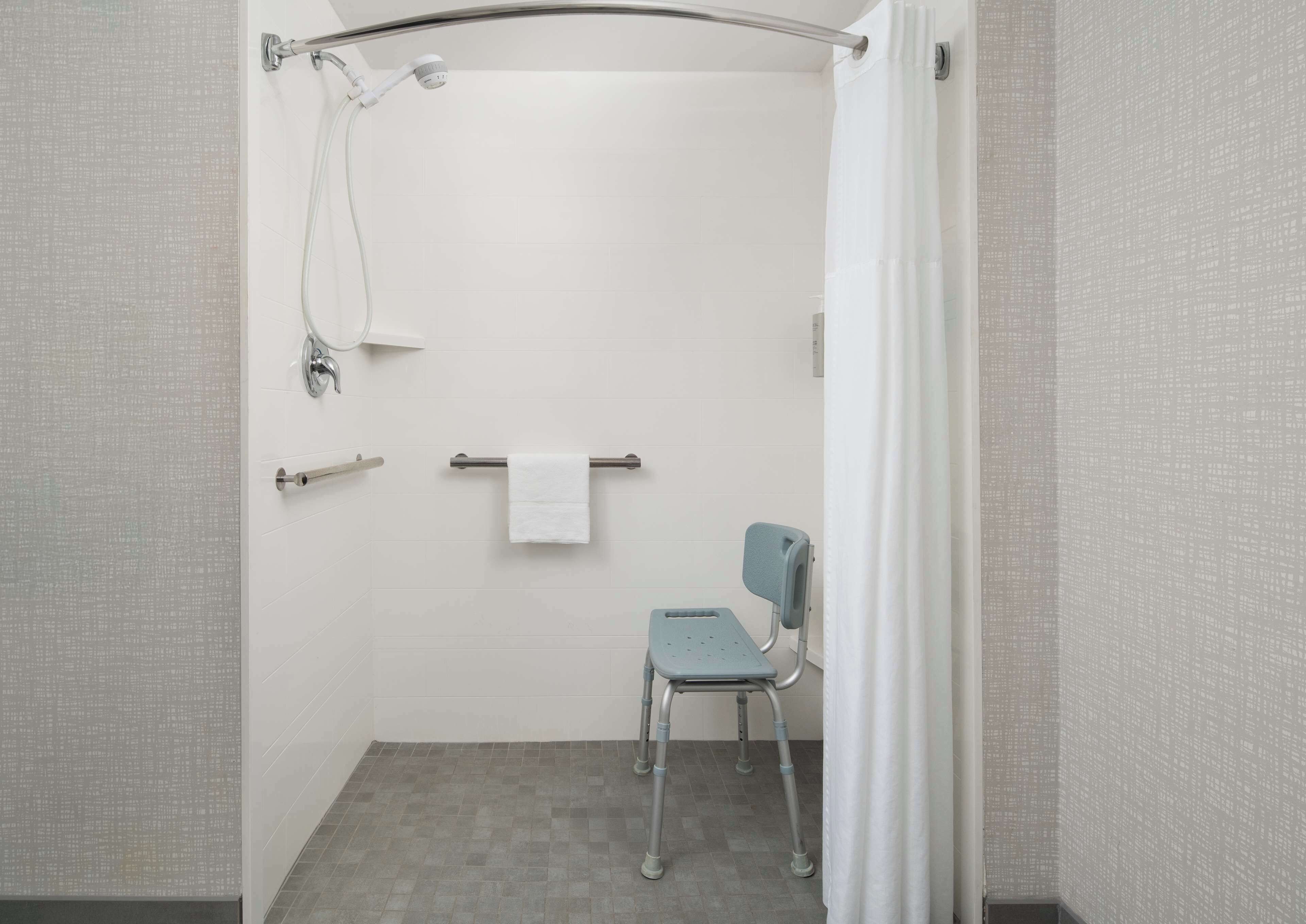 room, 1 king bed, accessible, non smoking | bathroom shower