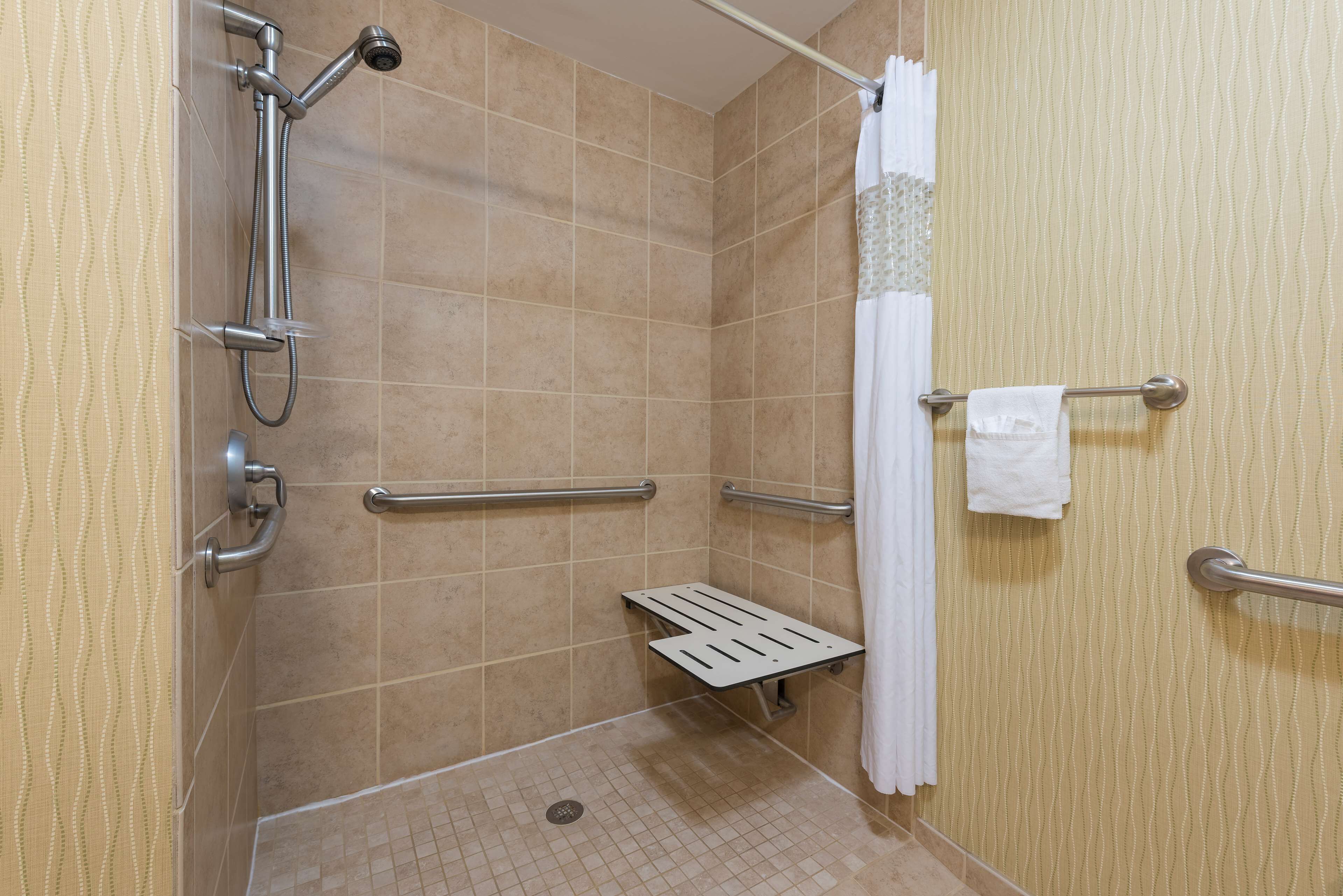 room, 1 queen, accessible, shower | bathroom shower