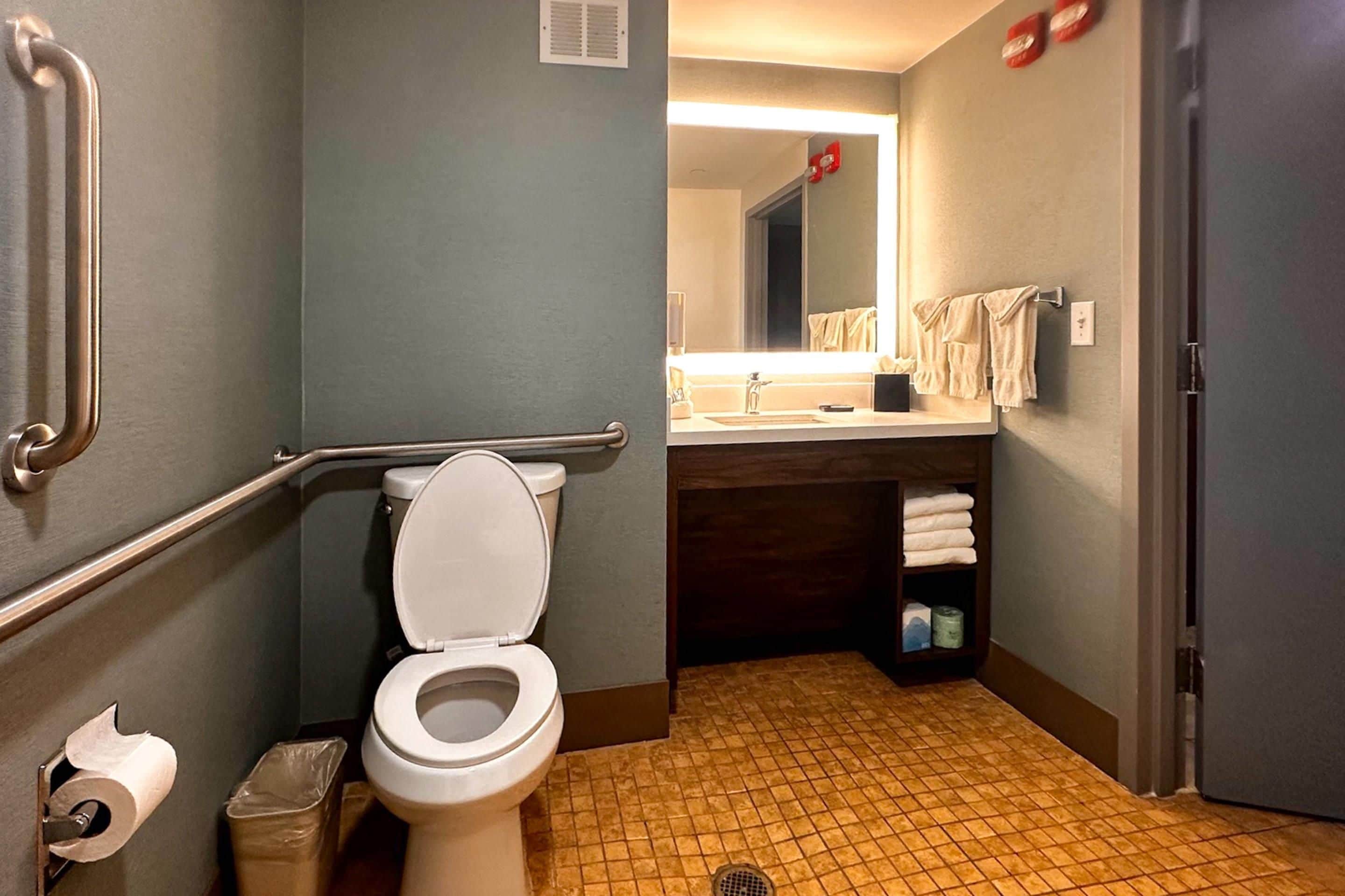 A bathroom with a toilet, handrails, a sink, and a mirror.
