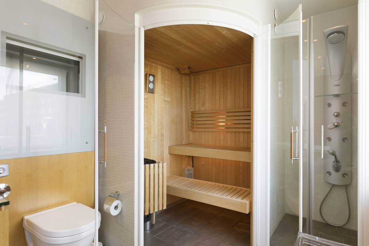 suite | bathroom | shower, rainfall showerhead, eco-friendly toiletries, hair dryer