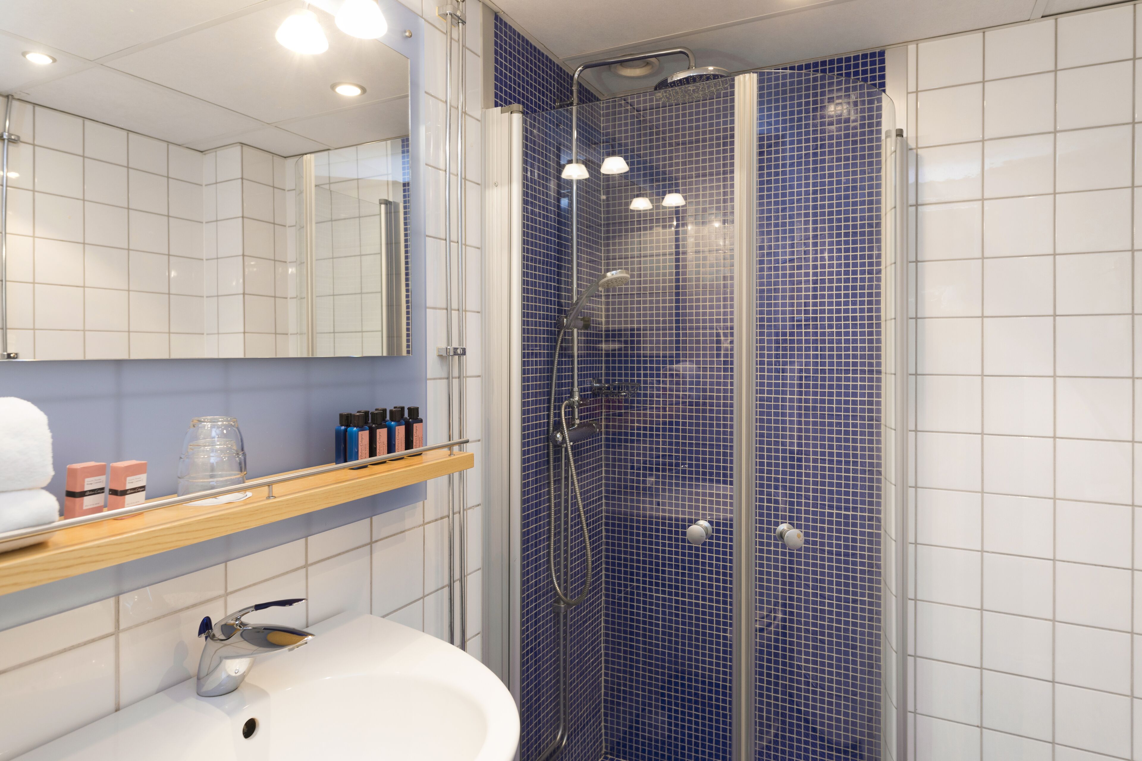 superior twin room | bathroom | shower, rainfall showerhead, eco-friendly toiletries, hair dryer