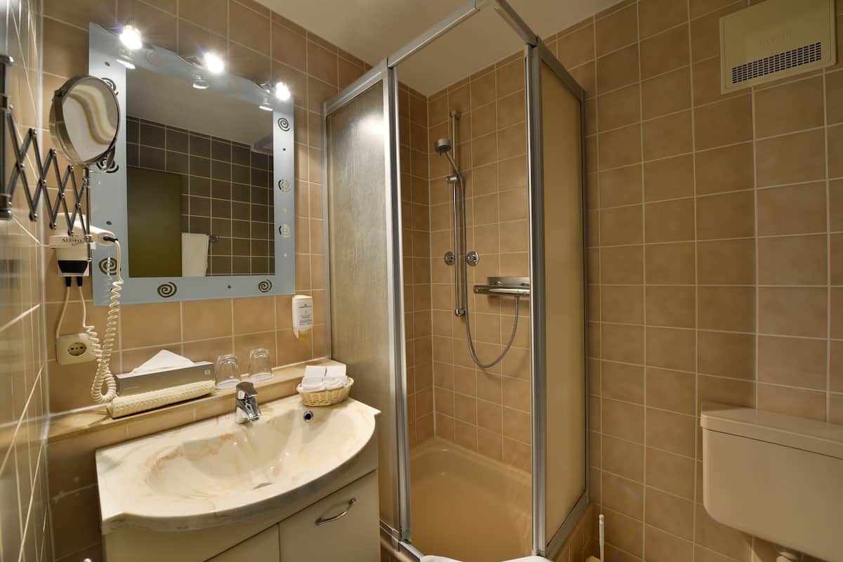 shower, free toiletries, hair dryer, towels