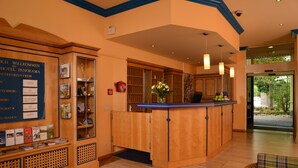 Zona de recepción de hotel con un mostrador de madera, un área de asientos con sillones escoceses y un tablón de anuncios con varios avisos.