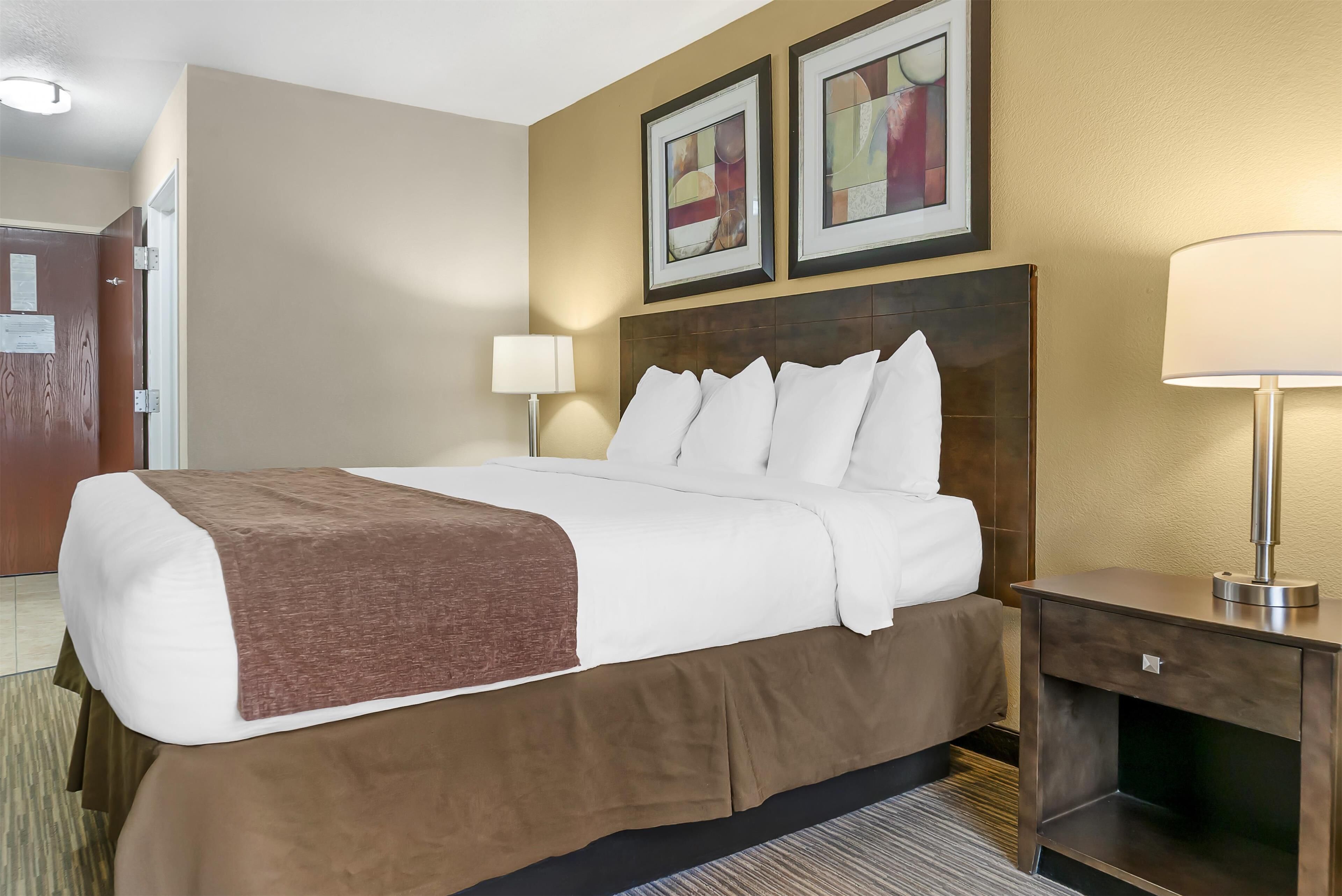 A hotel room with a large bed, a bedside table with a lamp, and two framed pictures on the wall.