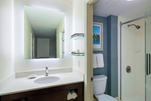 Bañera con ducha, artículos de tocador gratuitos, secador de pelo