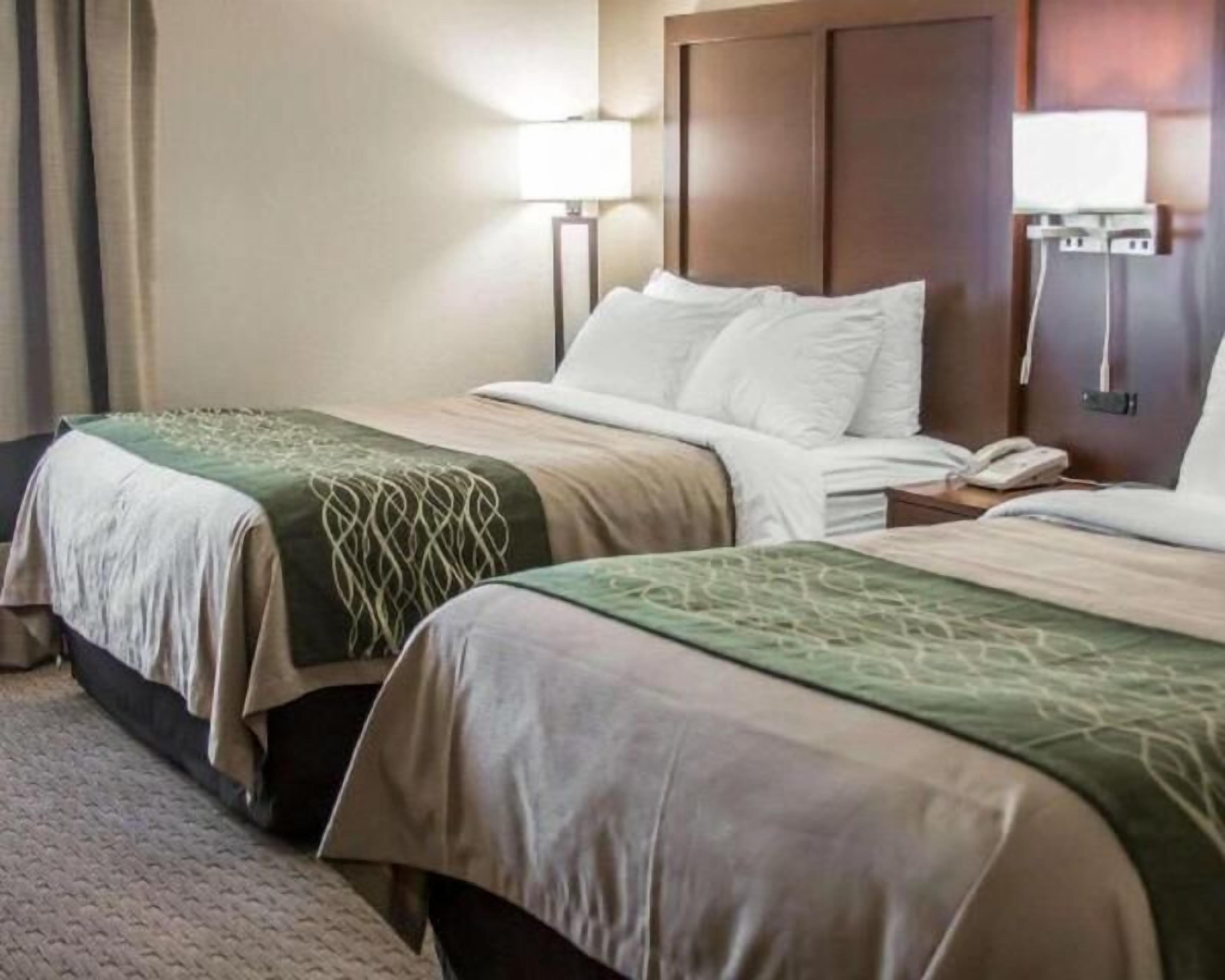 Escritorio, cortinas blackout y insonorización 