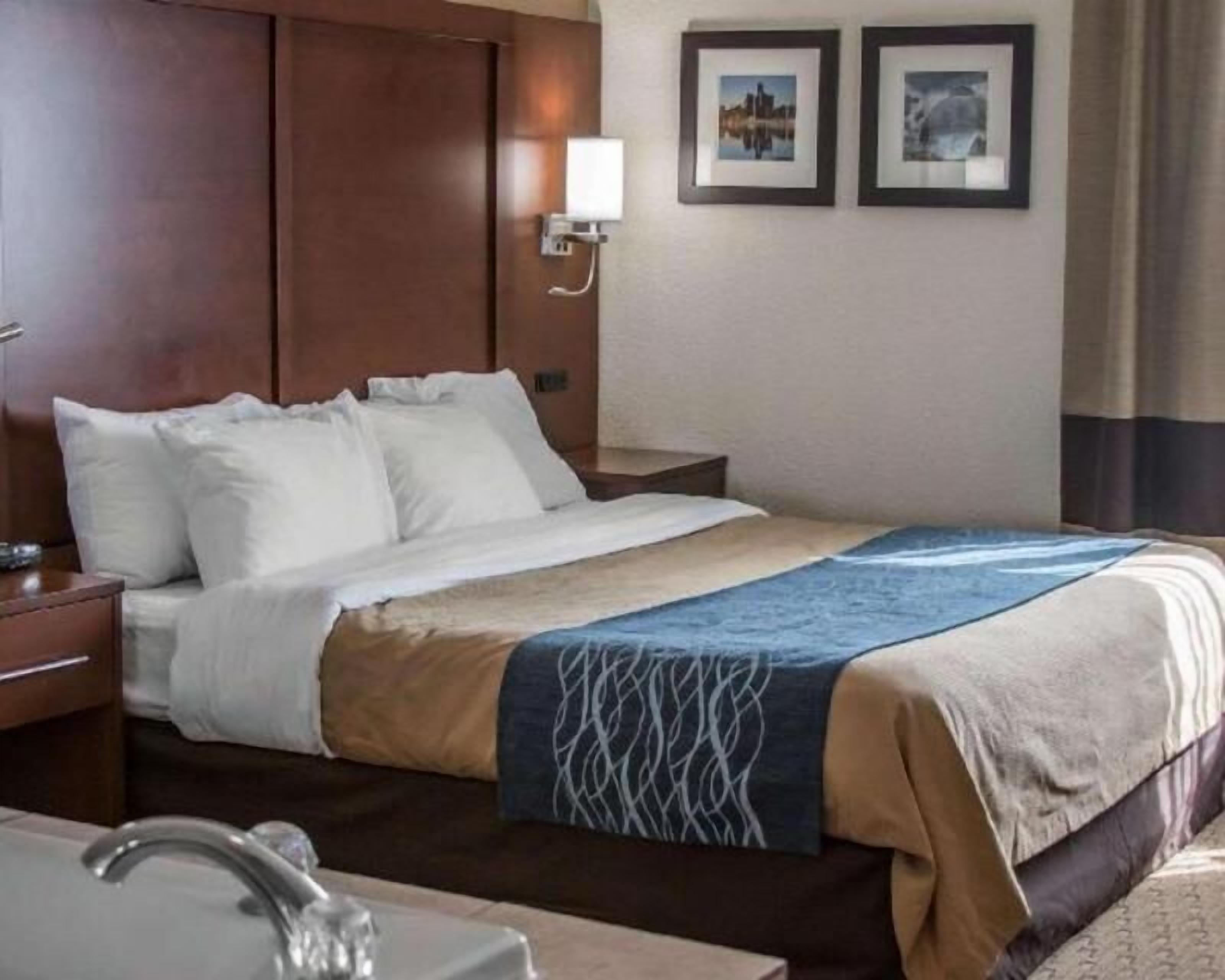 Escritorio, cortinas blackout y insonorización 