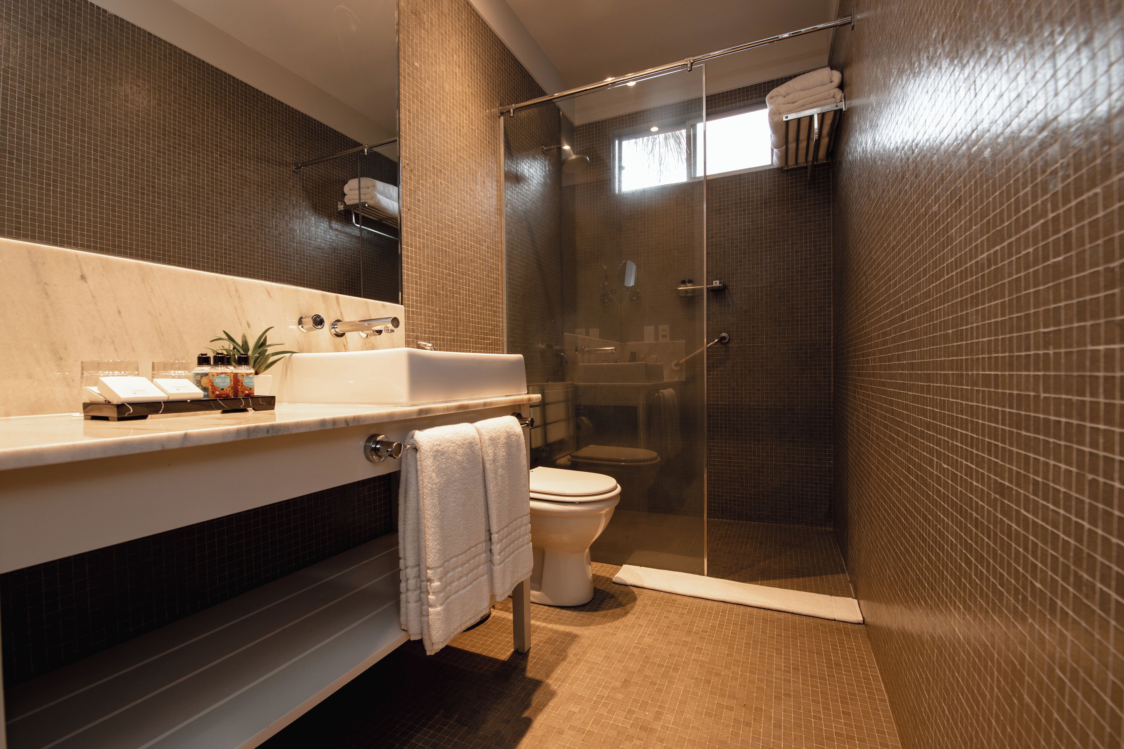 A modern bathroom with a glass-enclosed shower, a white sink, and a toilet.