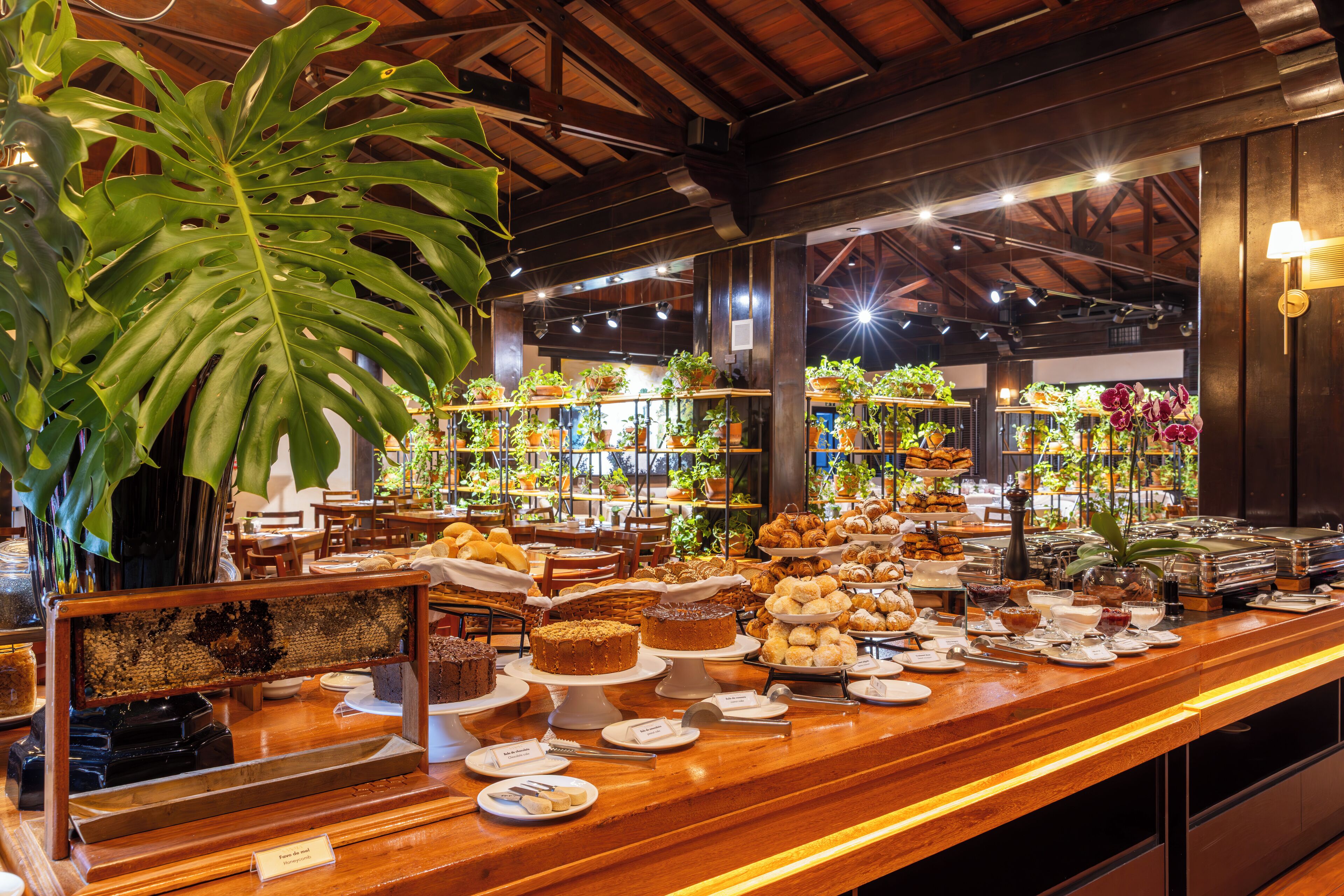 Desayuno buffet incluido todos los días 