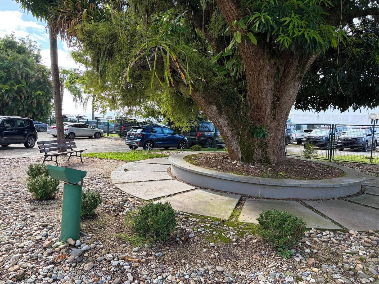 Un estacionamiento con un árbol grande, un banco y un camino pavimentado.