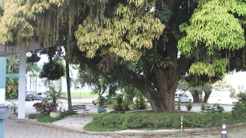Vista desde la propiedad