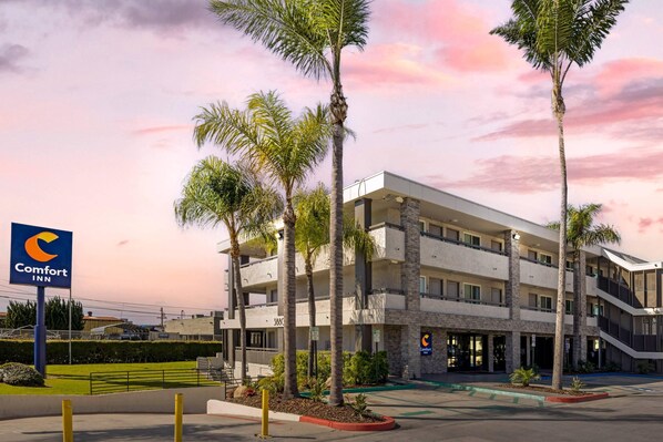Un hotel Comfort Inn de varios pisos con un diseño arquitectónico moderno, que cuenta con balcones y un jardín delantero ajardinado con palmeras.