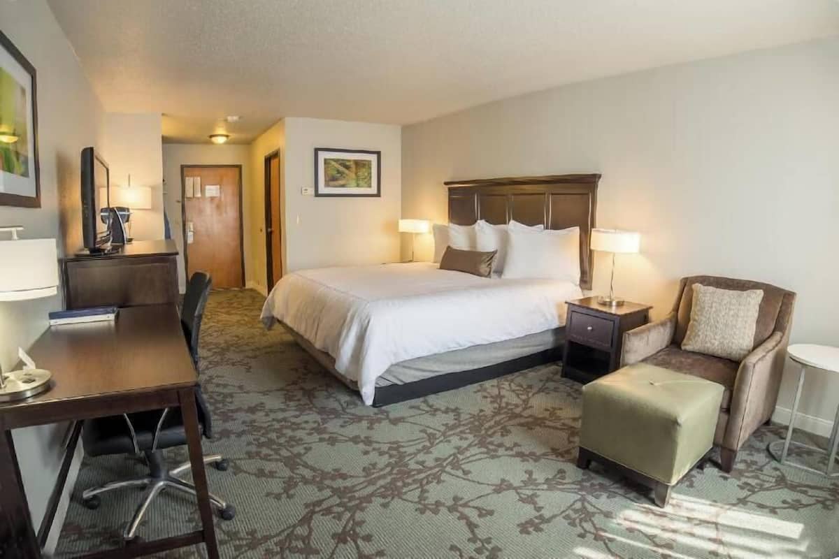 Iron/ironing board, free cots/infant beds, free rollaway beds, free WiFi