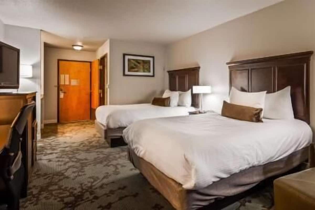 Iron/ironing board, free cots/infant beds, free rollaway beds, free WiFi