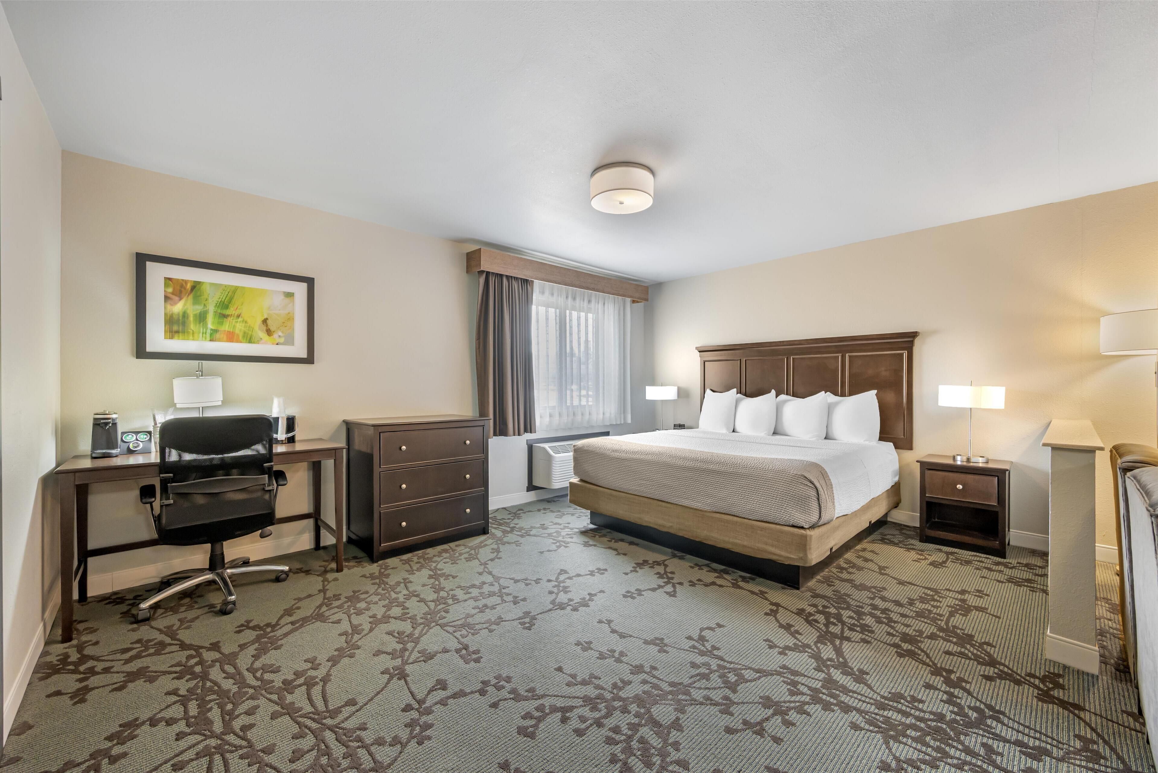 Suite junior, 1 cama King size, para no fumadores, refrigerador y microondas | Tabla de planchar con plancha, cunas gratuitas y camas extra gratis 