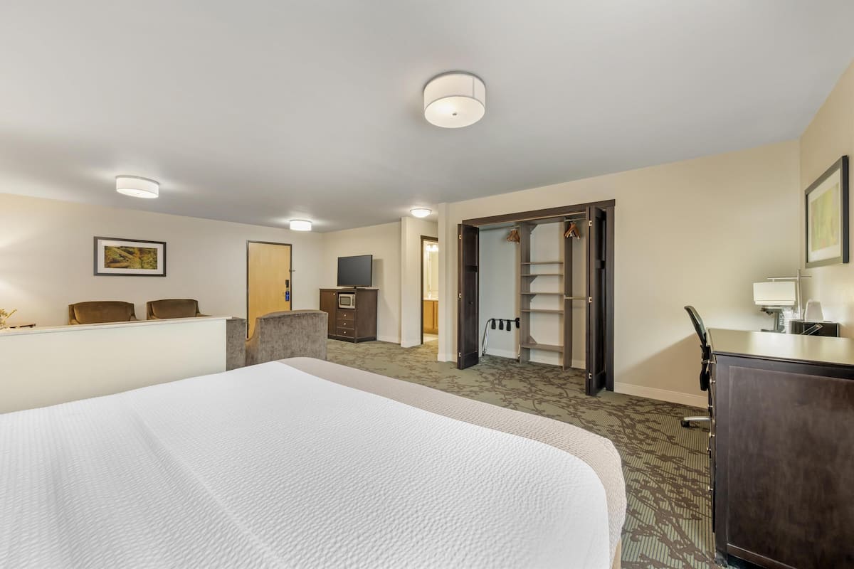 Ein Hotelzimmer mit einem großen Bett, einem Schreibtisch, einem Fernseher, einem Kleiderschrank und einem durchgegangenen Tür erkennbaren Badezimmer.