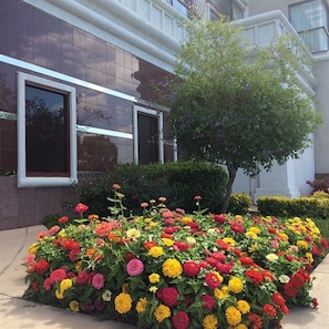 Property entrance - The Grand Hotel (Sunnyvale)