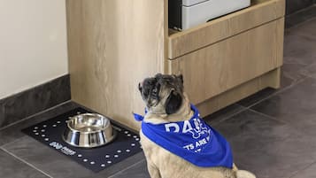 A pug sitting on a dark tile floor with a metal bowl and a dog bowl mat.