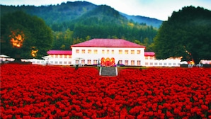 A large white building with a red roof, surrounded by a field of red flowers, and mountains in the background. - The Lalit Grand Palace Srinagar (Srinagar)