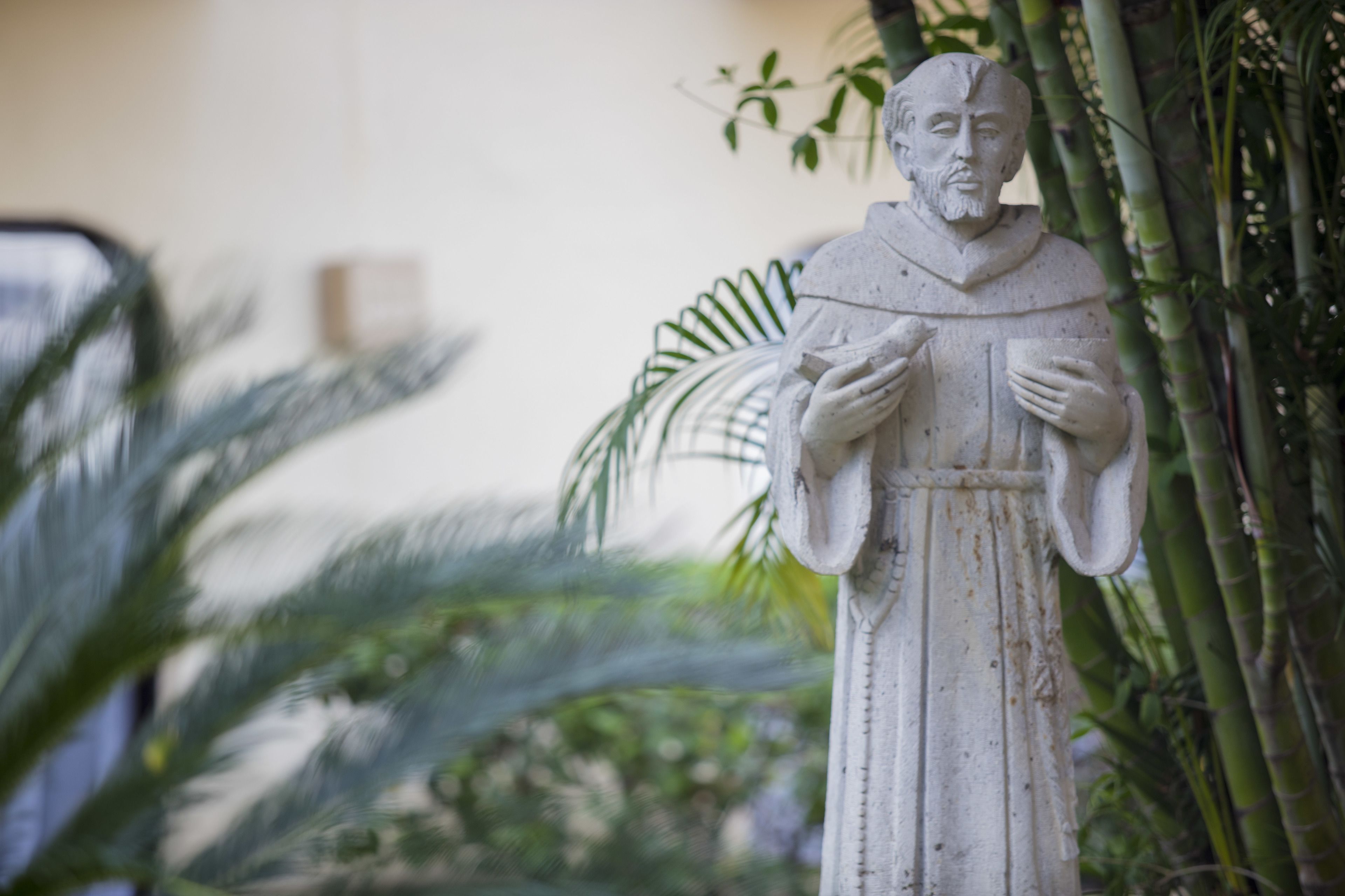 A statue of a robed figure holding a book, surrounded by greenery.