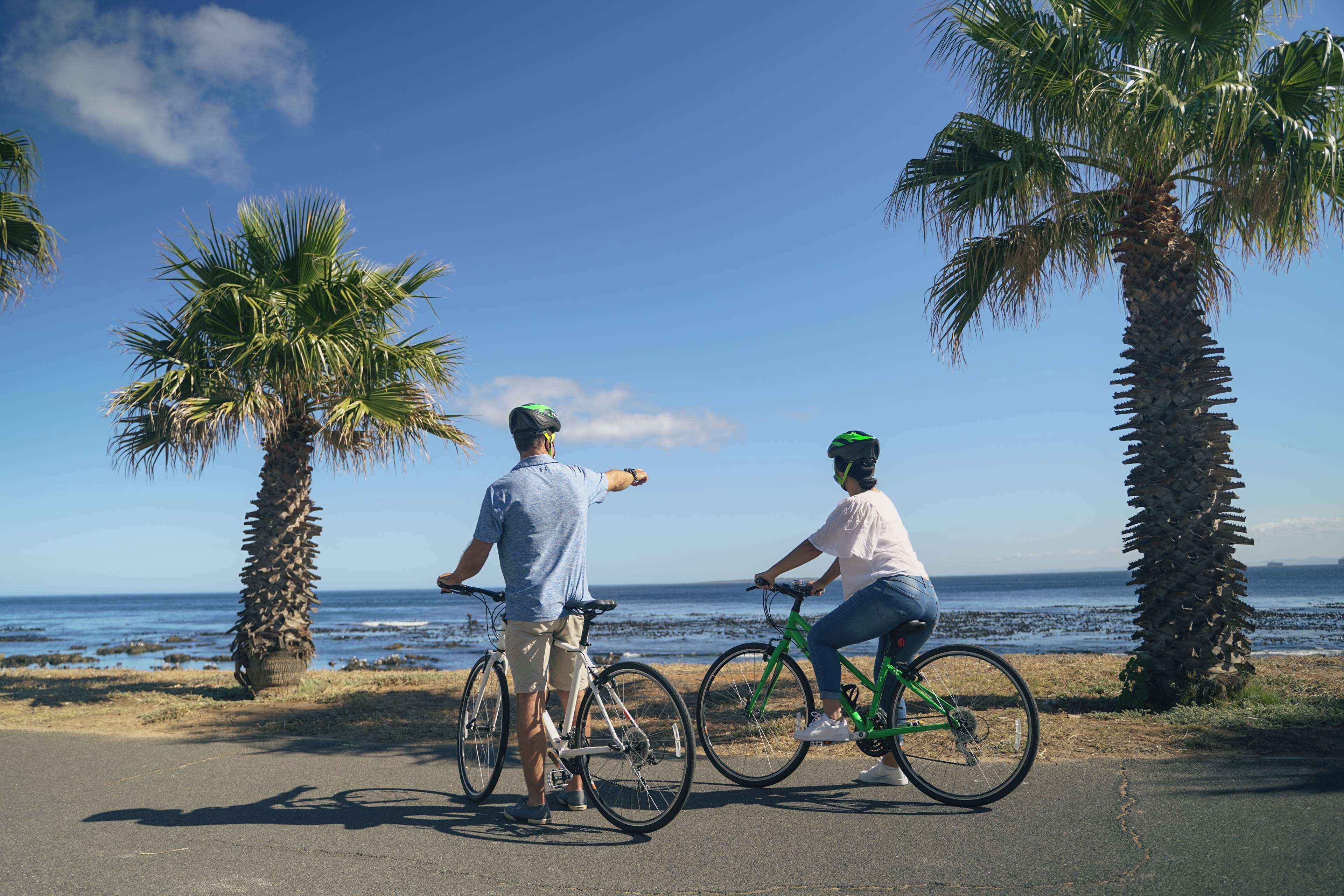Two people on bicycles by the ocean with palm trees and a clear sky.