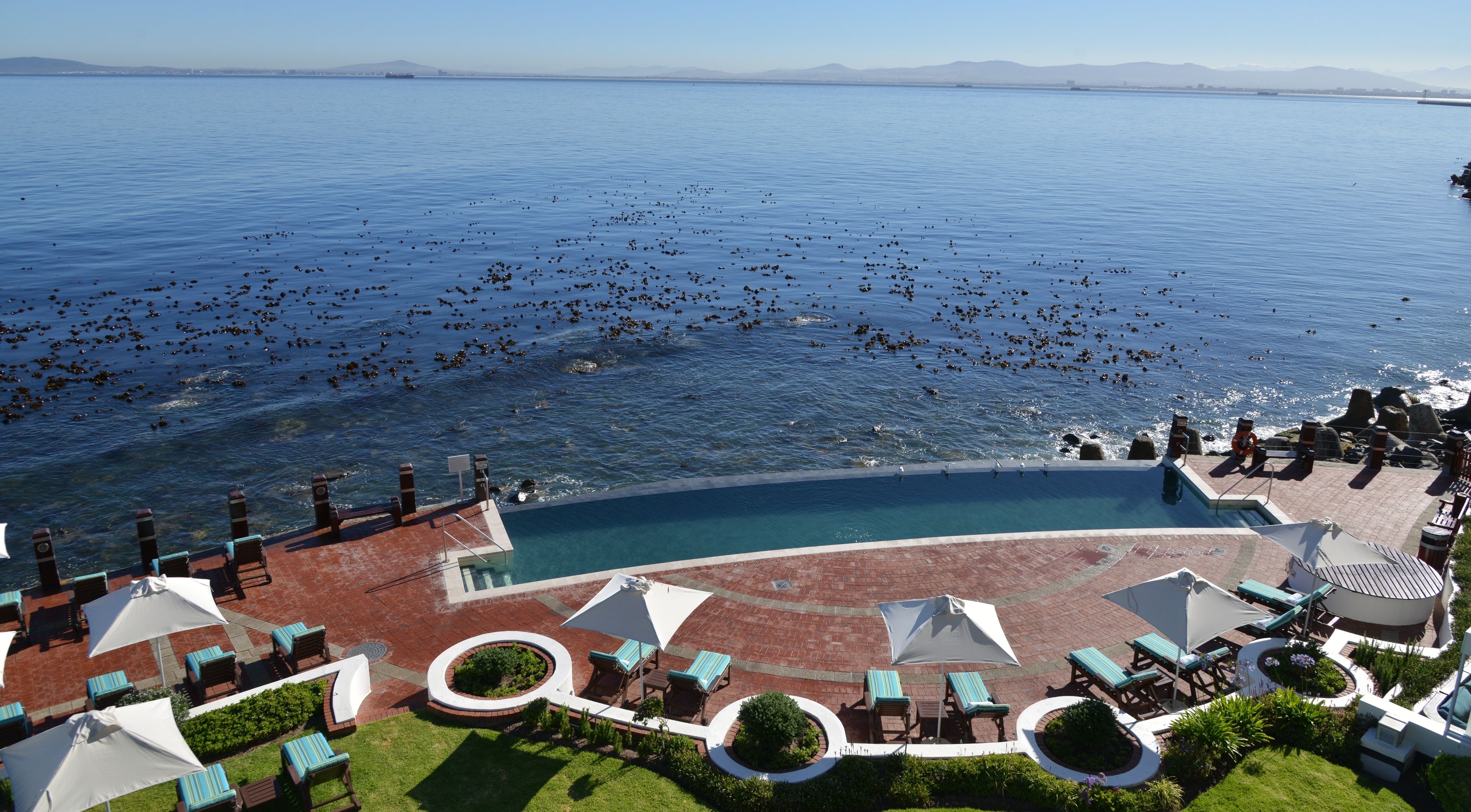 outdoor pool, pool umbrellas, pool loungers