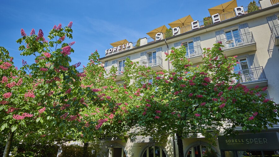 Sorell Boutique-Hotel Speer Rapperswil