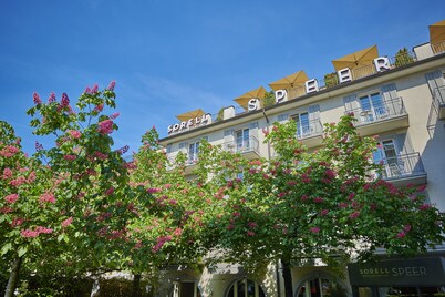 Sorell Boutique-Hotel Speer Rapperswil