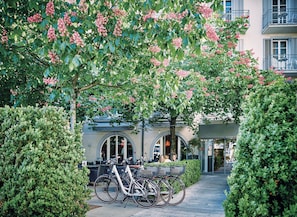 A bicycle parked under a flowering tree, a building with arched windows, and a hedge.