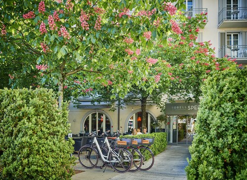 Sorell Boutique-Hotel Speer Rapperswil