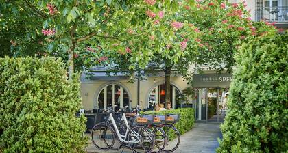 Sorell Boutique-Hotel Speer Rapperswil