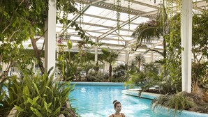 An indoor swimming pool surrounded by lush greenery and a glass ceiling structure. - Hotel Continental Ischia (Ischia)
