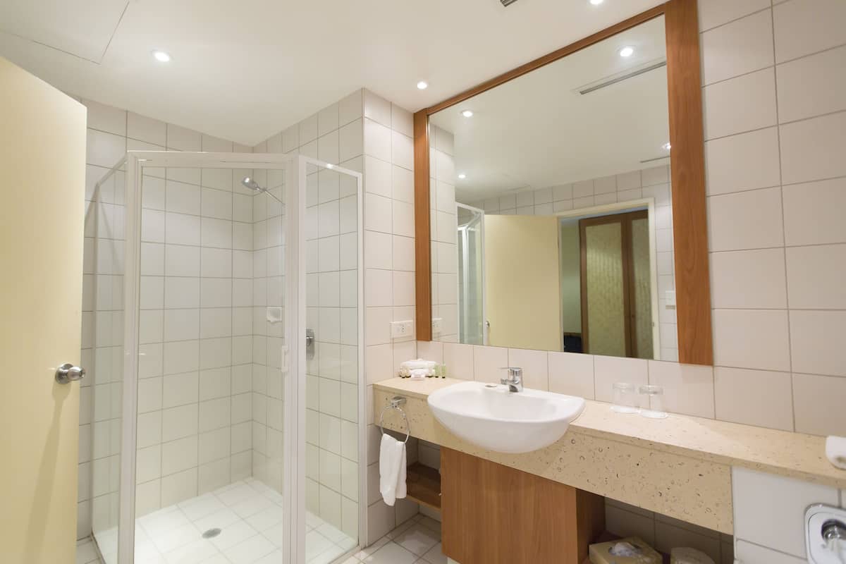 eco-friendly toiletries, hair dryer, towels, toilet paper