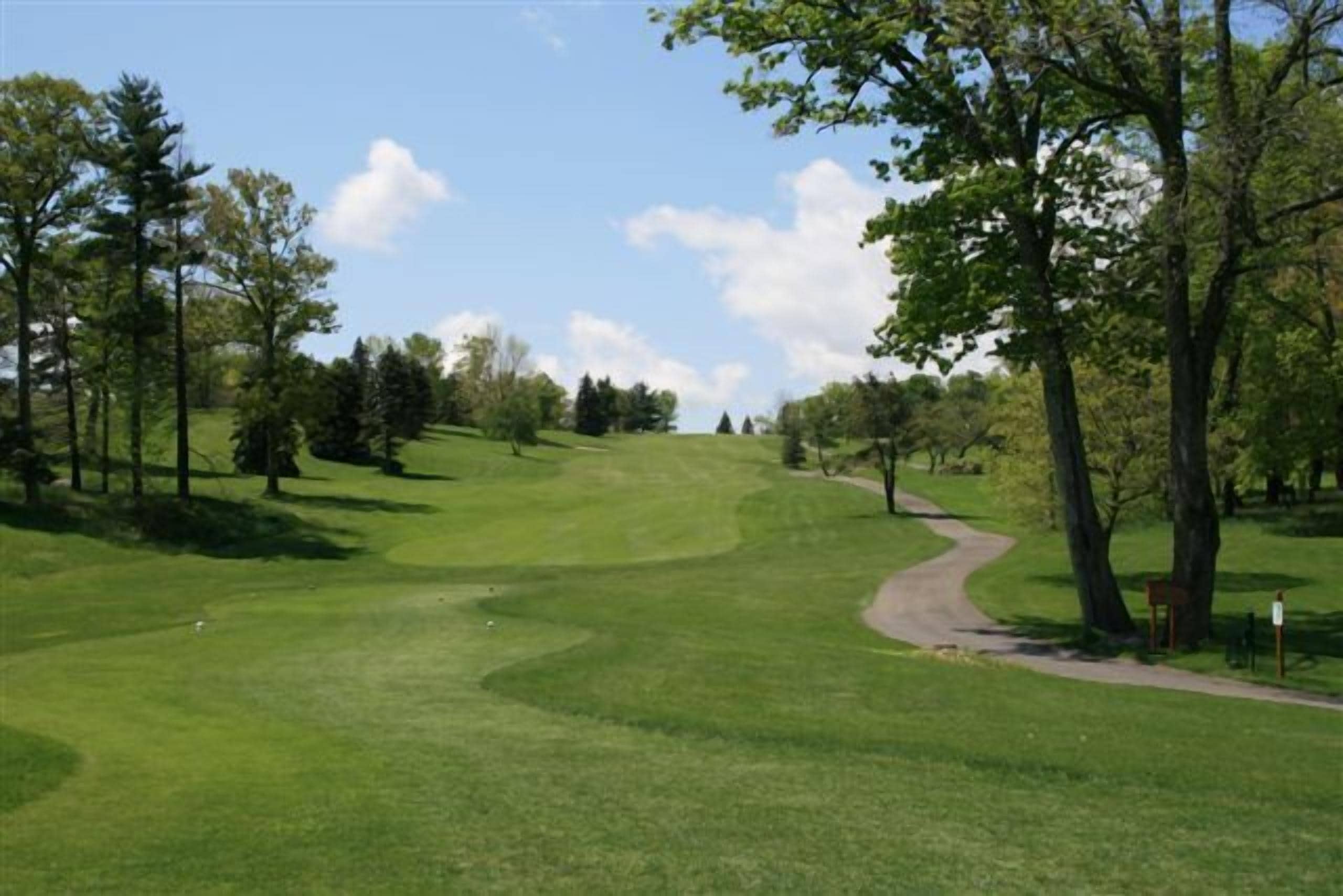 Een golfbaan met een slingerend pad, bomen en een heldere lucht.
